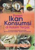 PANEN IKAN KONSUMSI DI KOLAM TERPAL